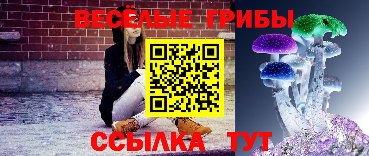 Печора  Псилоцибиновые грибы Psilocybine cubensis  Галлюциногенные грибы мухоморы  Вход с VPN 